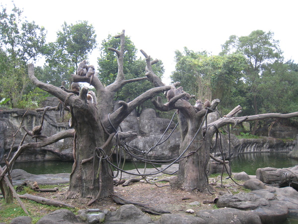 20081225動物園校外教學