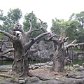 20081225動物園校外教學