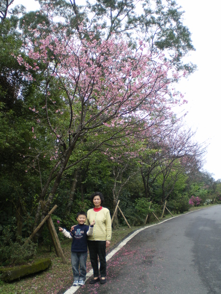 雙泰產業道路