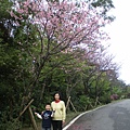 雙泰產業道路