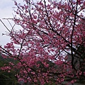 雙泰產業道路