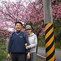 雙泰產業道路