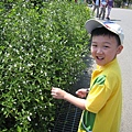 台東原生應用植物園