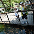 台東原生應用植物園