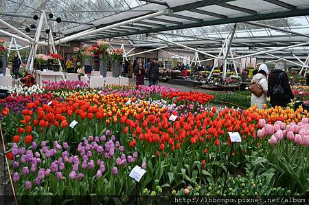 Keukenhof