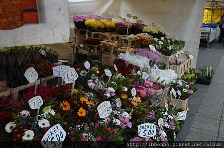DSC_0591 DSC_0591