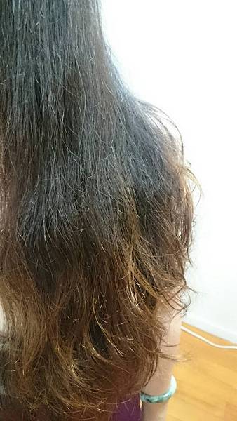 試用