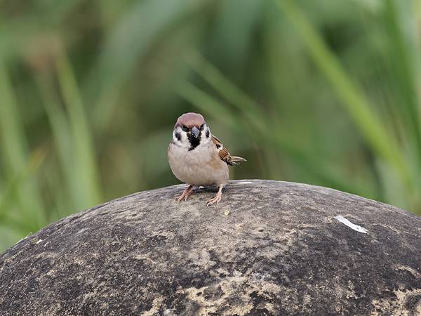 PC272205_DxO PC272205_DxO