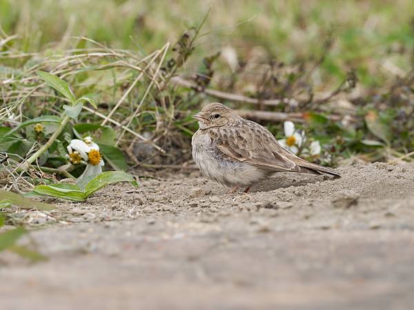 PC272711_DxO PC272711_DxO