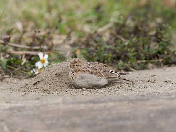 PC271248_DxO PC271248_DxO