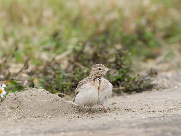 PC271815_DxO PC271815_DxO