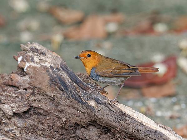 PB221664_DxO PB221664_DxO