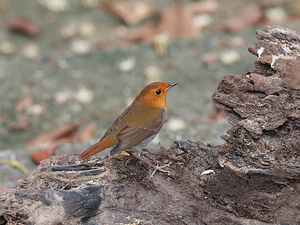 PB220728_DxO PB220728_DxO