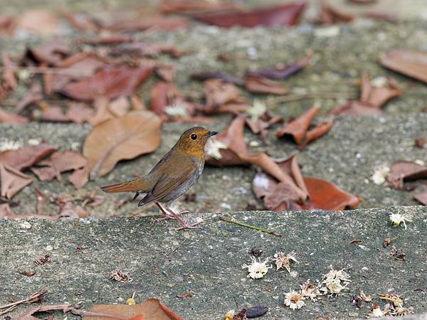 PB220013_DxO PB220013_DxO