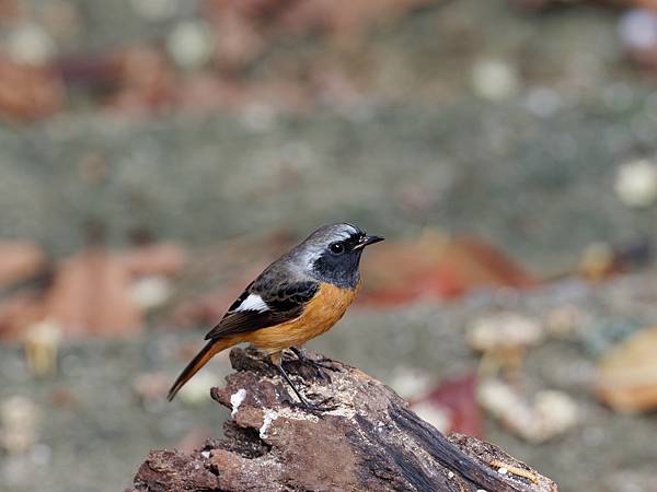 PB220814_DxO PB220814_DxO