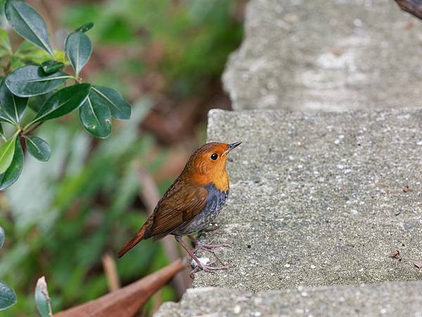 PB221011_DxO PB221011_DxO