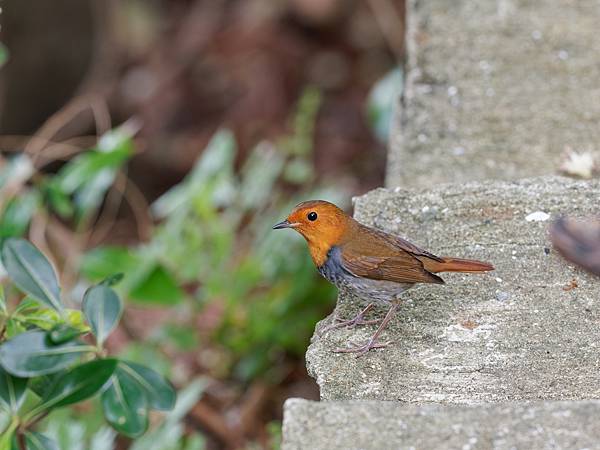 PB220891_DxO PB220891_DxO