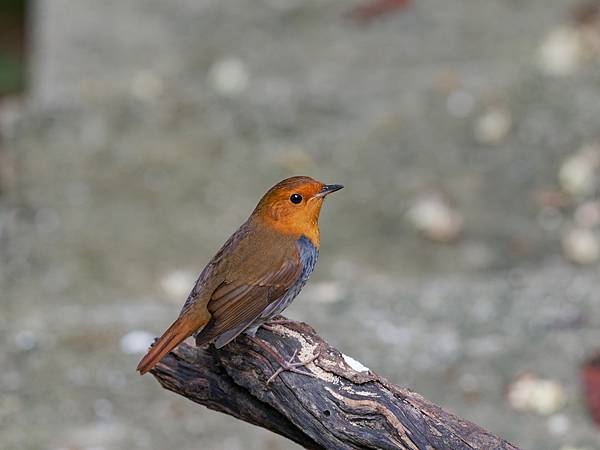 PB221189_DxO PB221189_DxO