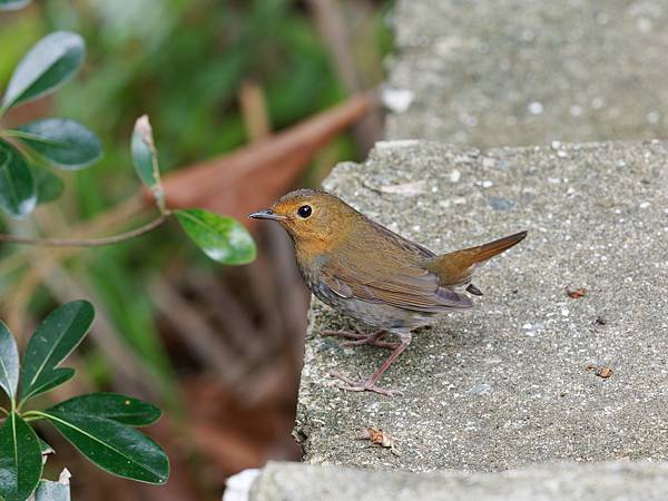 PB221584_DxO PB221584_DxO