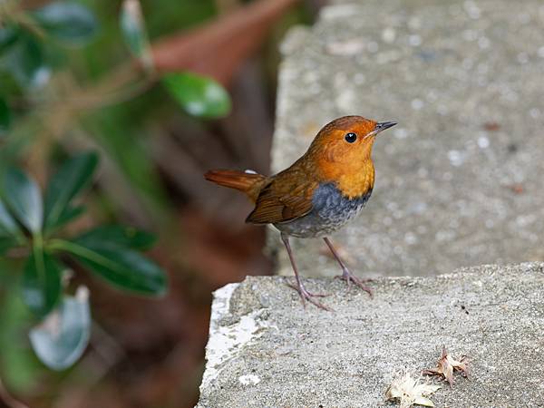 PB221447_DxO PB221447_DxO