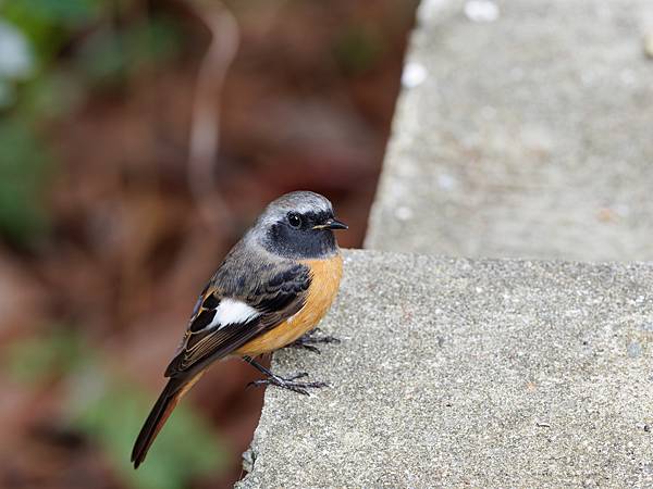 PB221591_DxO PB221591_DxO