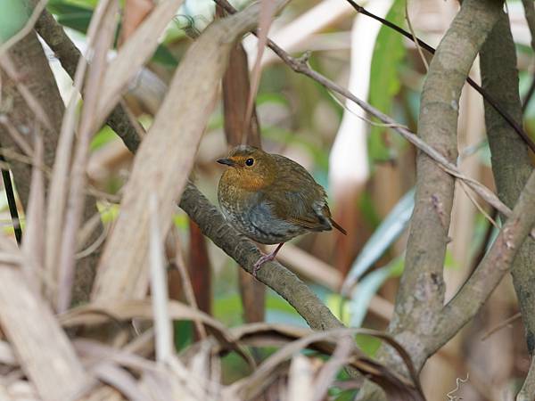 PB221619_DxO PB221619_DxO