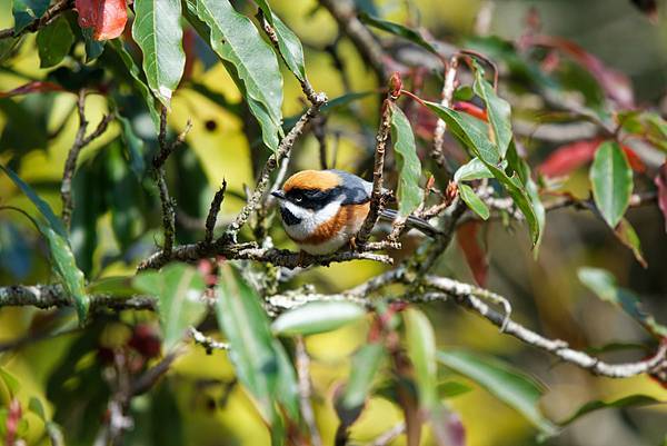 272894535_10209517279326271_7792063061942518915_n