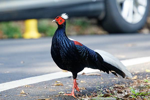 272972374_10209517281166317_658454208035207546_n