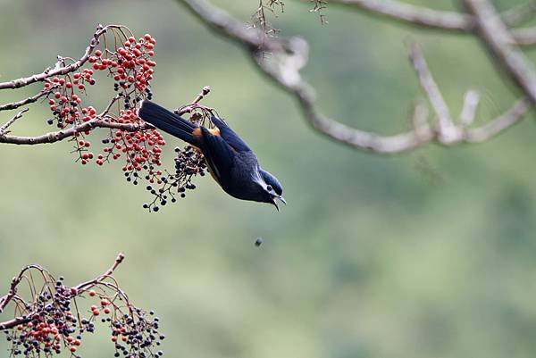 272988162_10209517267485975_5865268918566659686_n