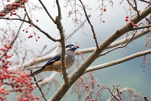 272992553_10209517268686005_4349089686209130683_n