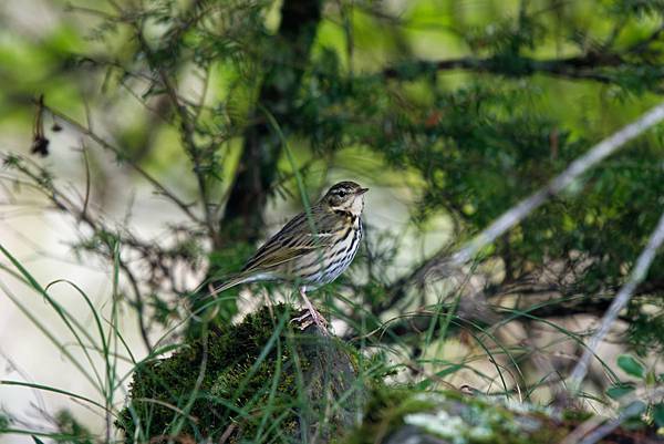 272973601_10209517276126191_6981927274318043785_n