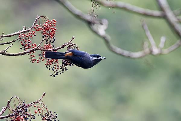 272984434_10209517267365972_8017526318982704514_n