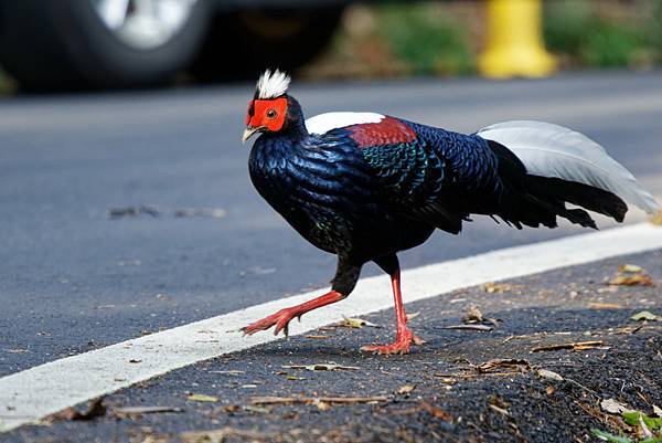 273001675_10209517281406323_409053475516339182_n