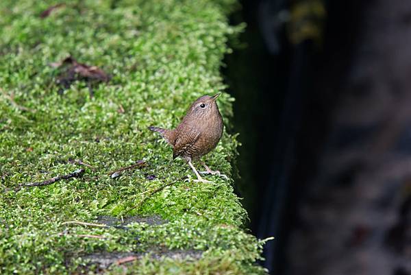 273008186_10209517278606253_5098037402301606340_n