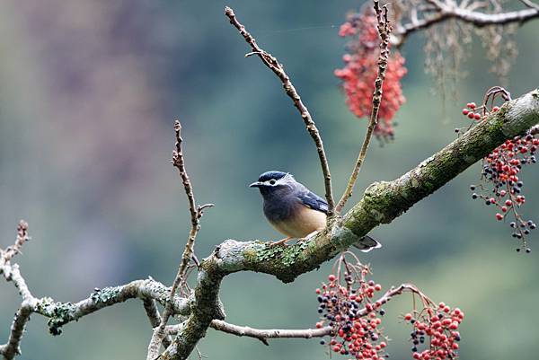 273028285_10209517266805958_8957284744477697747_n