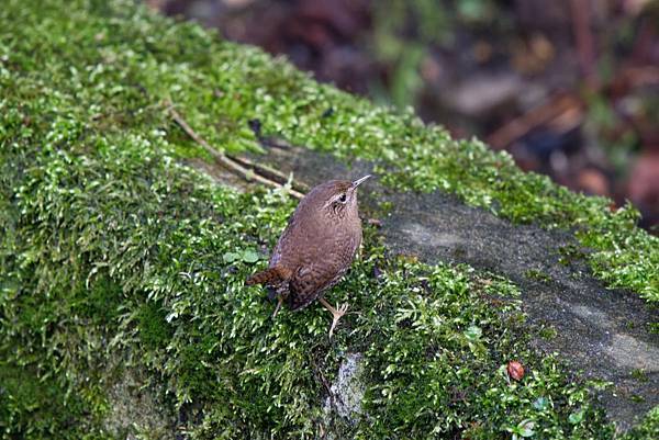 273017570_10209517277446224_4837605249777088879_n