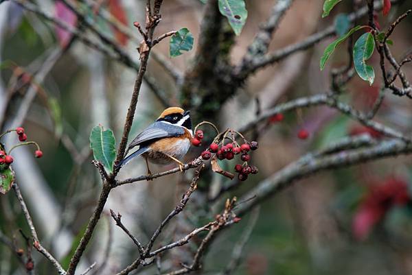 273036086_10209517279286270_720891651788350285_n