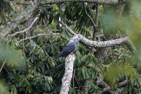 273153963_10209517269326021_6806401360327711398_n