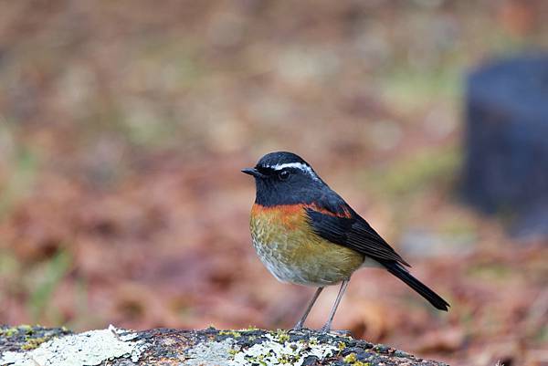 273151324_10209517275286170_4759949247030282501_n