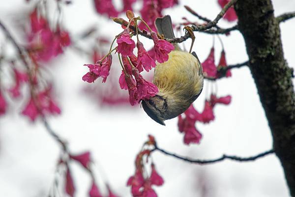 273160152_10209517273286120_8337632606969532735_n