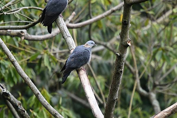 273163551_10209517269486025_70675457109183381_n