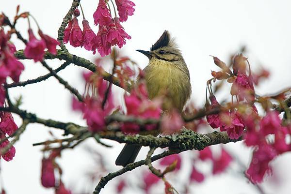 273156621_10209517273526126_6707725288362683683_n