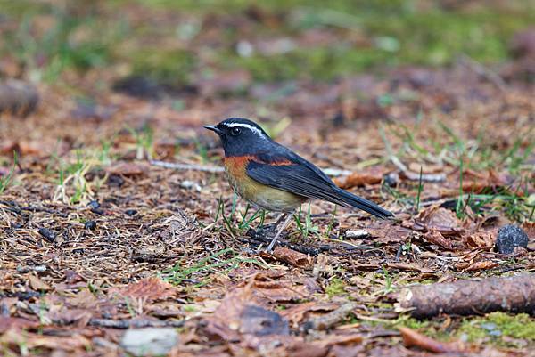 273169113_10209517274846159_313553831828624777_n