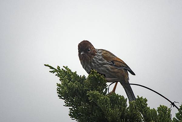 273209880_10209517274566152_5131114905414292196_n