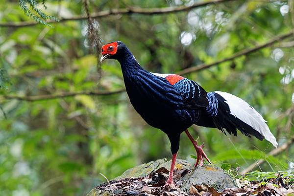 273211065_10209517282206343_1022731986366326908_n