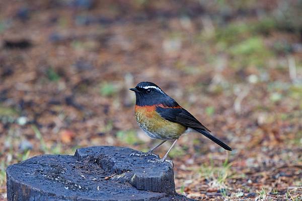 273220201_10209517275166167_7928214414030766123_n