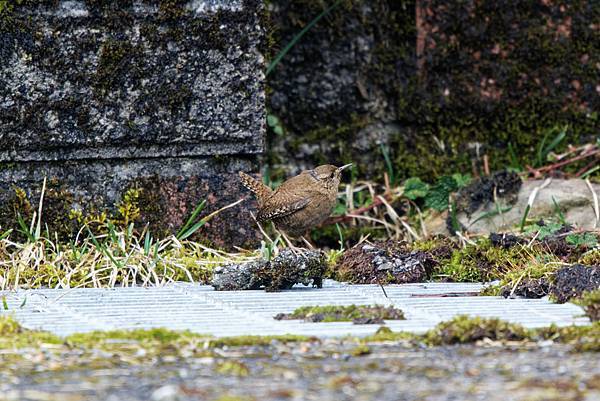 273221700_10209517277166217_7018056050001885457_n