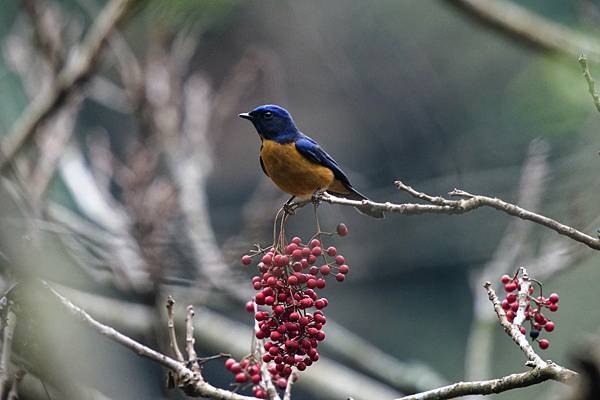 273229199_10209517273406123_3804826000623753936_n