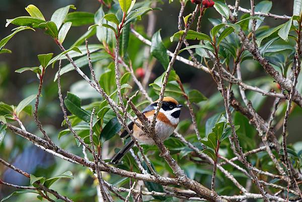 273289089_10209517279446274_4480383024857608102_n