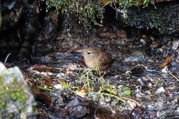 273322128_10209517277406223_8478789246796808517_n